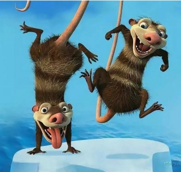 С пятницей стильные открытки