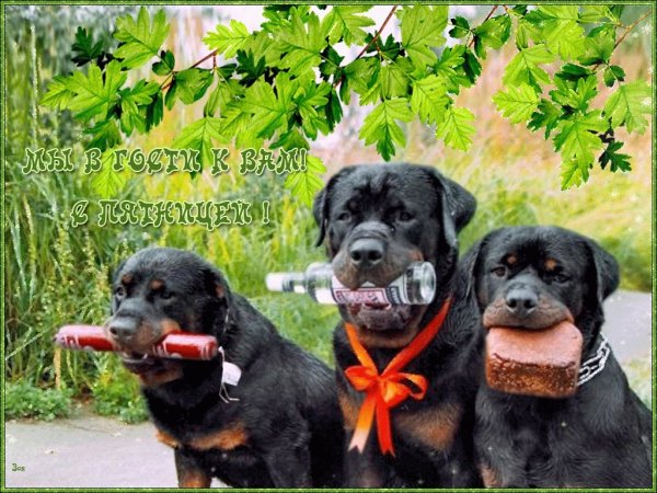 Смешное про пятницу