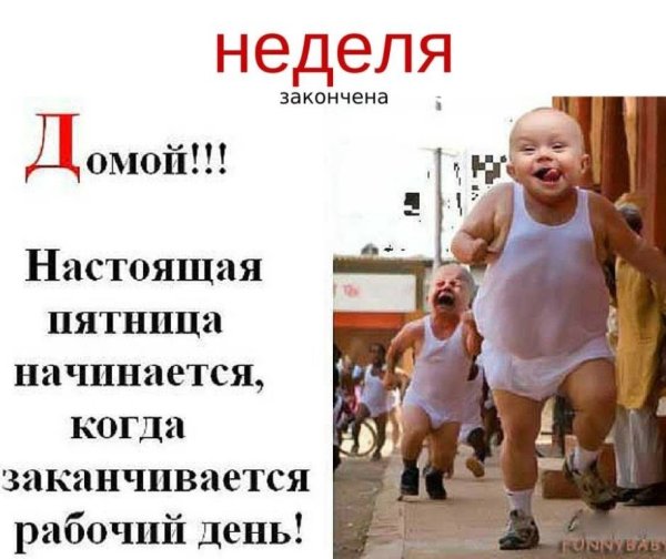 Пожелания доброго дня с куклами