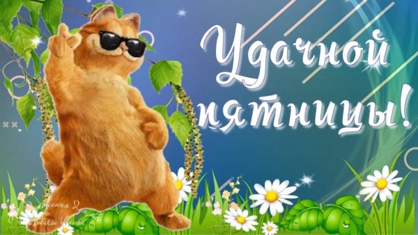 Добрый день пчелы