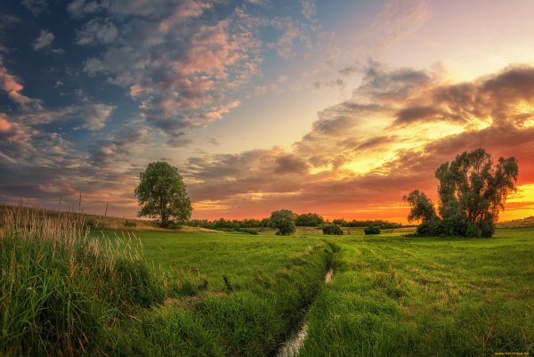 Красивые летние пейзажи