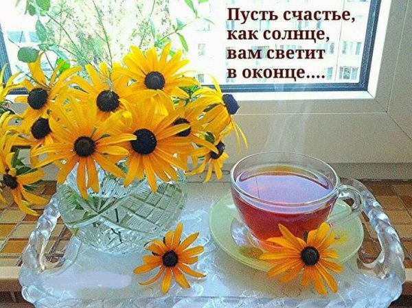 Ромашкового утра и солнечного дня