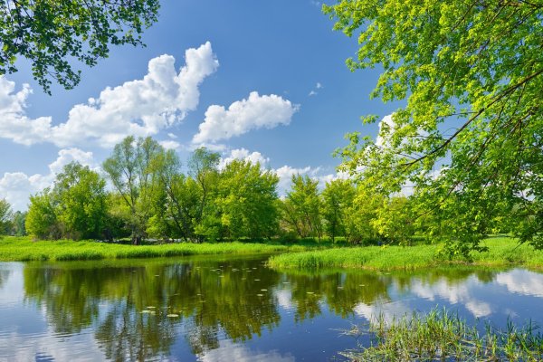 Природа река