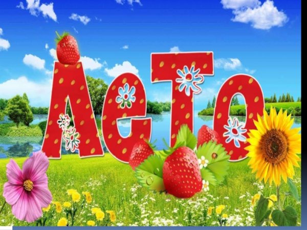 Летний оздоровительный период в детском саду