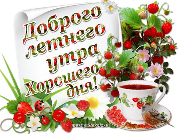 Доброго летнего утра и хорошего дня