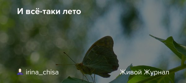 Уходящее лето