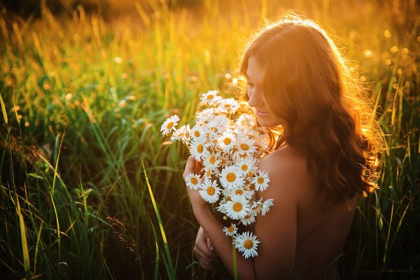 Пейзаж с ромашками