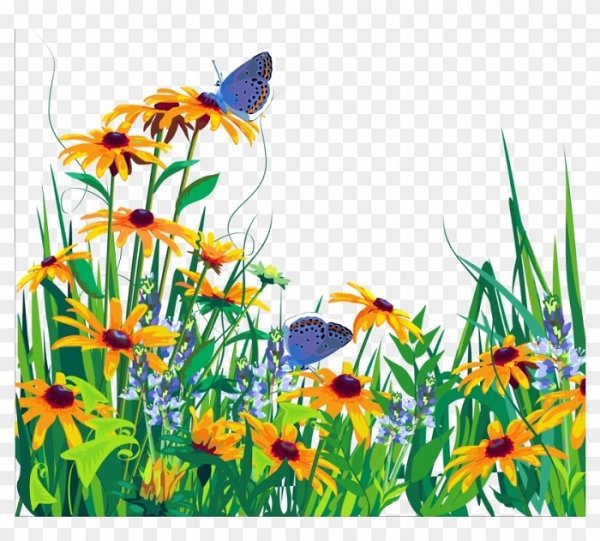 Лето на прозрачном фоне