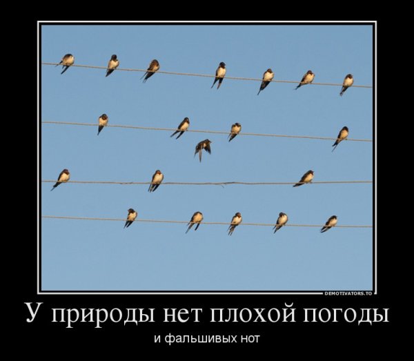 Держитесь люди скоро