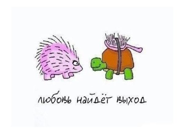 Держитесь люди скоро лето Тула