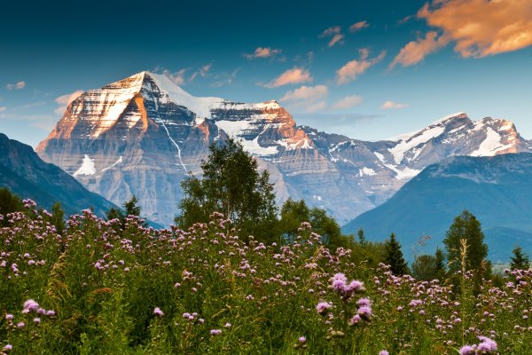 Горы Алтая Альпийские Луга