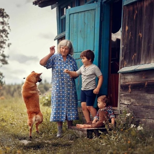 Лето у бабушки в деревне