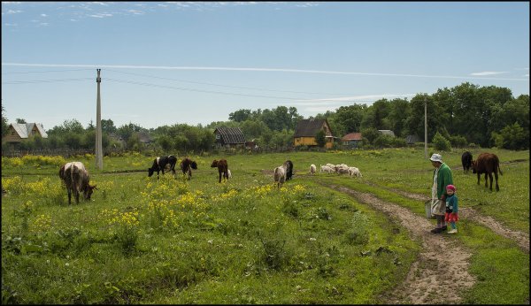 Летом в деревне у бабушки