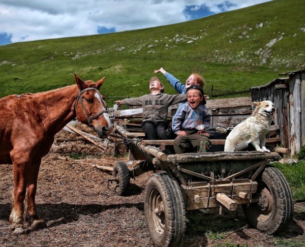 Бабушка в деревне