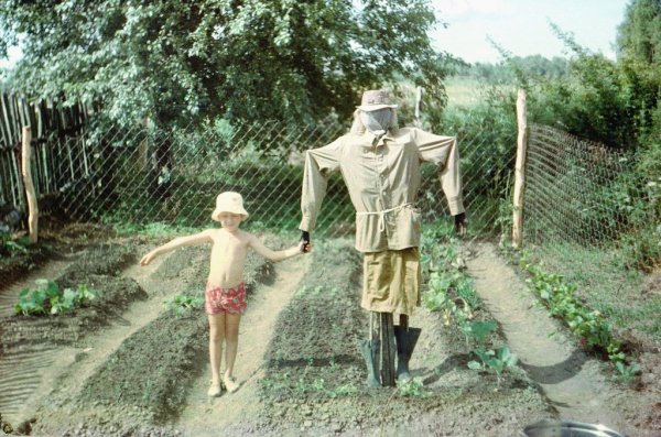 Каникулы у бабушки в деревне