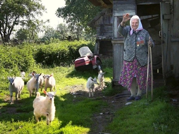 Лето у бабушки в деревне
