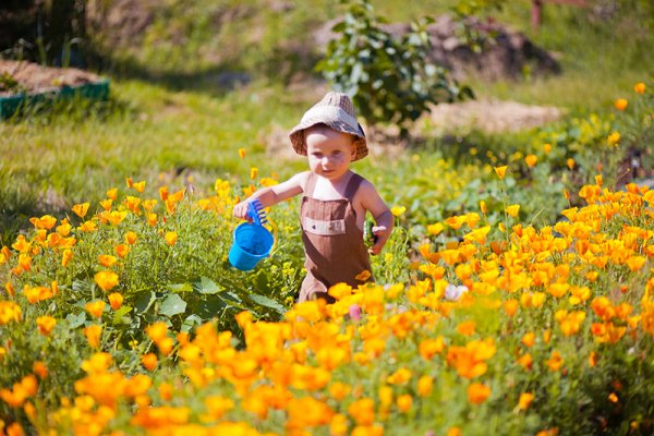 Летом у бабушки лето