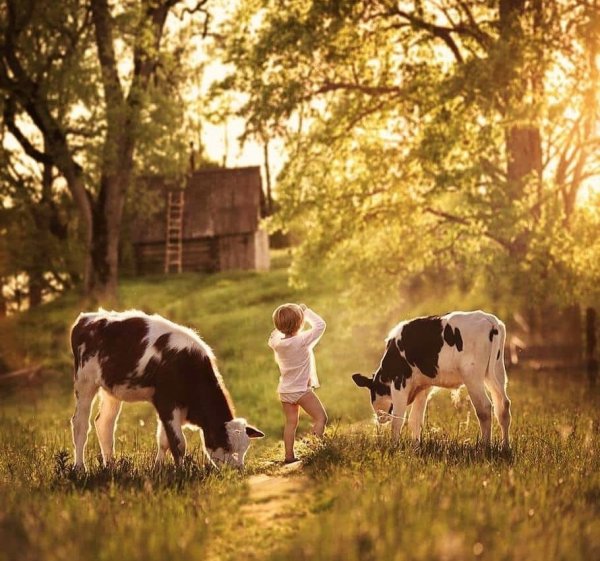 Детство в деревне