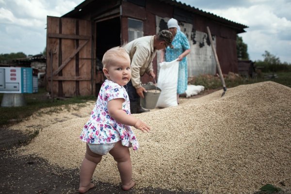 Летом в деревне у бабушки
