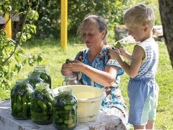 Счастливое детство в деревне