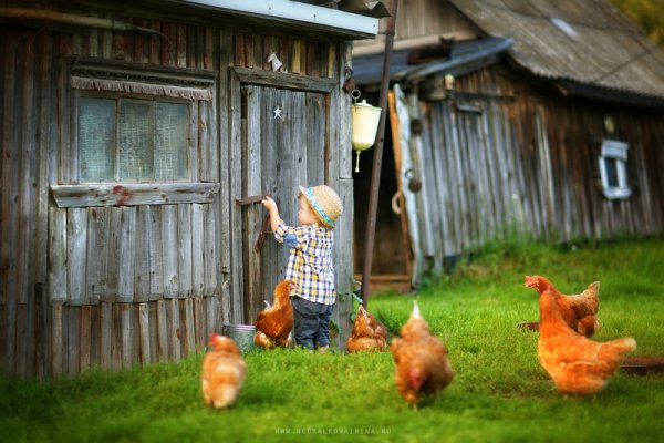 Левченков Александр Михайлович "лето в деревне"