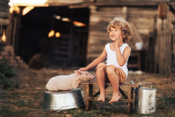 Лето у бабушки в деревне