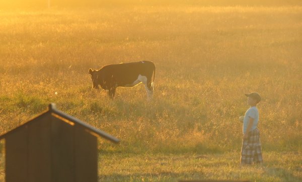 Детство в деревне