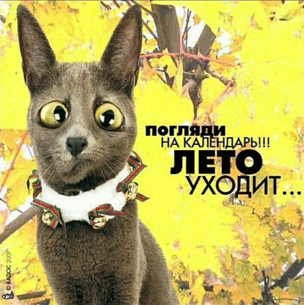 Лето уходит