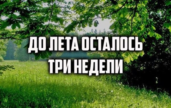 До лета осталось три недели