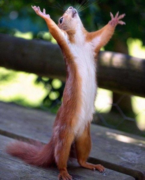 Жизнь прекрасна приколы