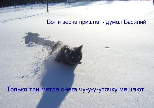 Надпись на снегу