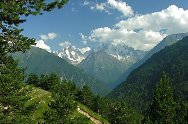 Гоначхирское ущелье Домбай