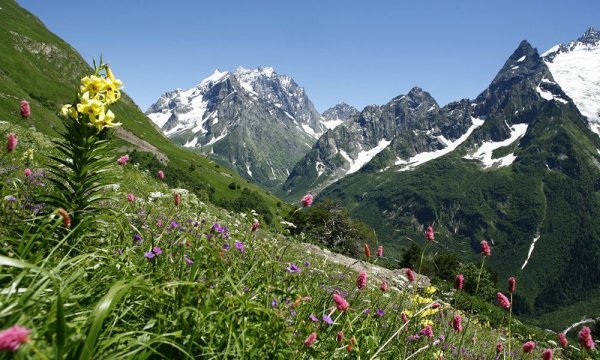 Ледник Грузия Сванетия