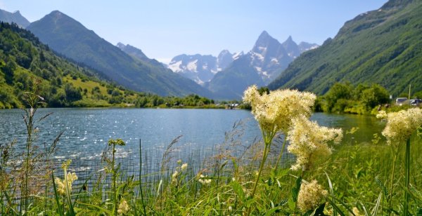 Рододендрон Архыз