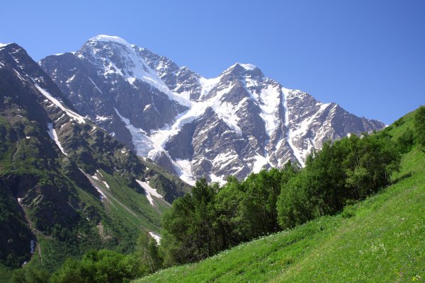 Домбай Альпийские Луга