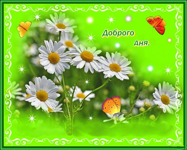 Хорошего летнего дня и отличного настроения
