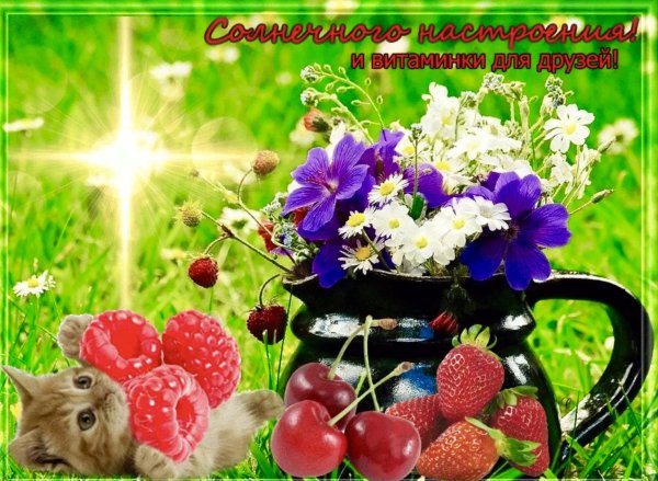 Доброго летнего воскресного дня