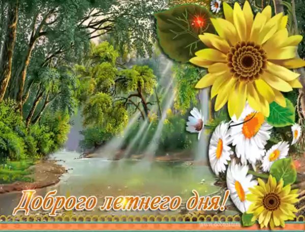 Доброго летнего утра и хорошего дня