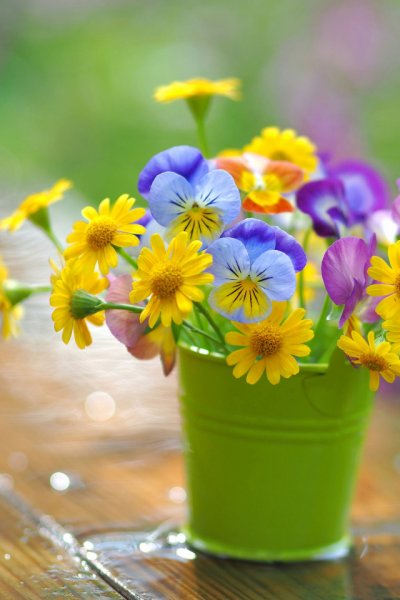 Прекрасного солнечного дня