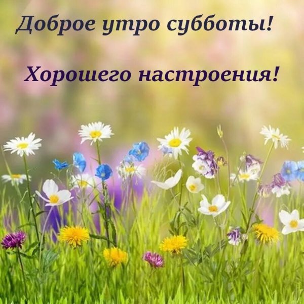 Летние пожелания