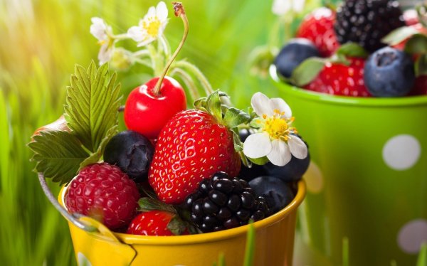 Красивый луг с цветами