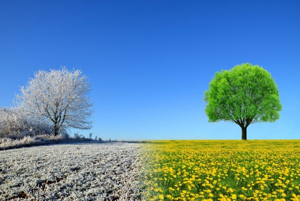 Пейзажи из мультфильмов Дисней
