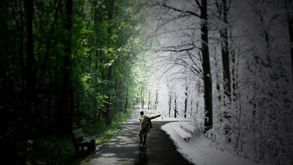 Из зимы в лето