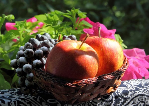 Фрукты в августе