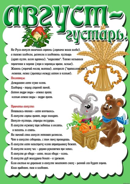 Папка раскладушка лето для детского сада