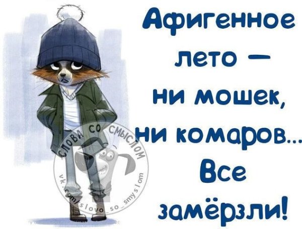 Приколы про Холодное лето