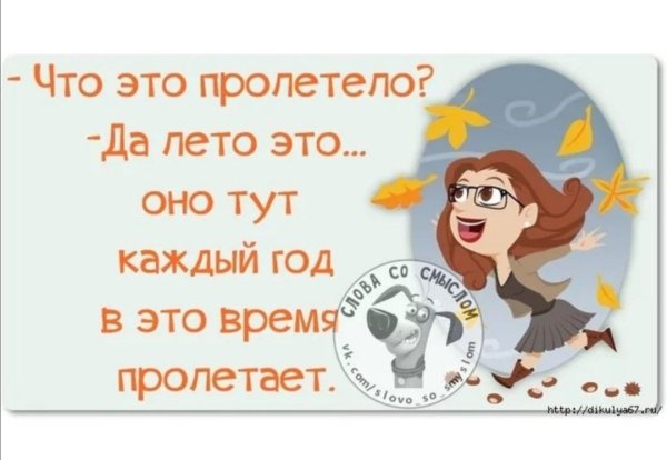 Смешные стихи про конец лета