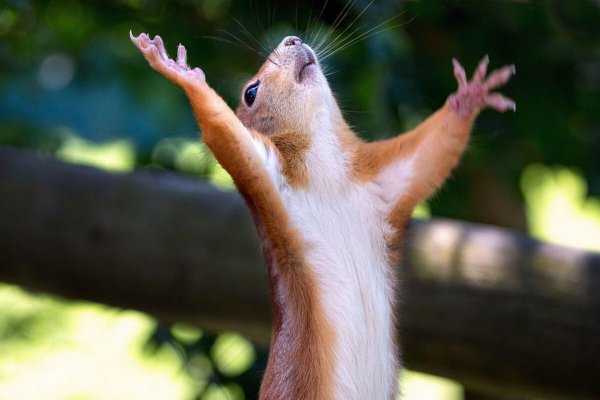 Юмор о лете