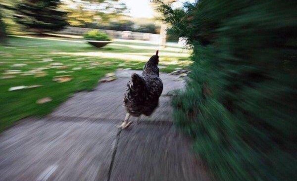 Девочка в поле