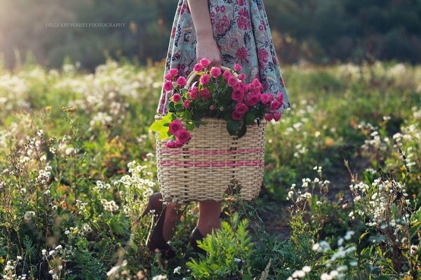 Полевые цветы,люди